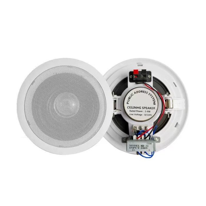 Ceiling Speaker